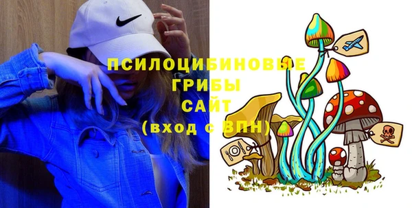 2c-b Арсеньев