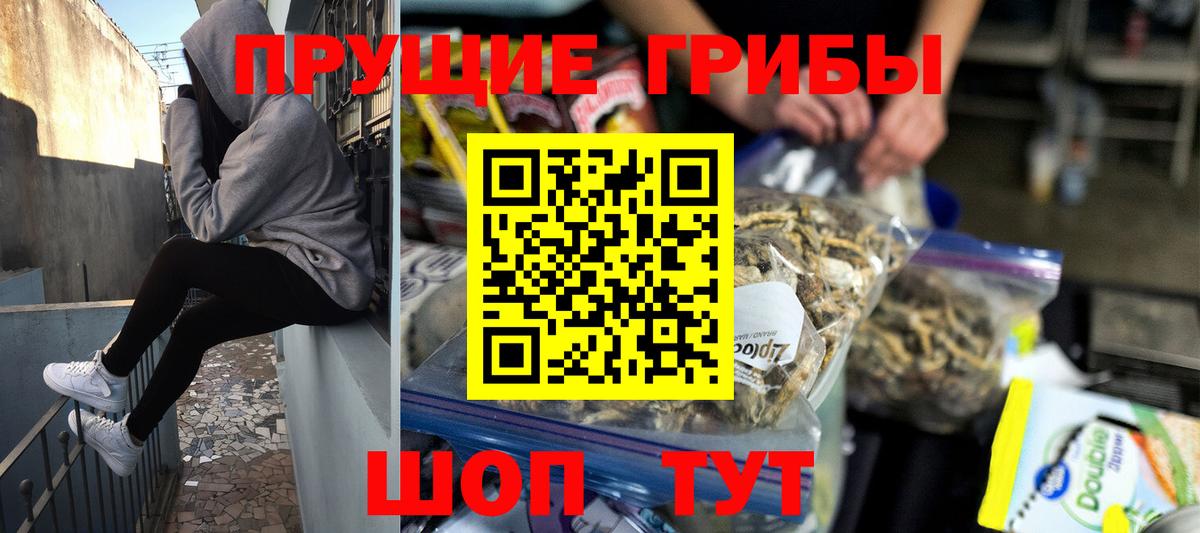 закладки  Вход с VPN  Камышин  Галлюциногенные грибы GOLDEN TEACHER  Галлюциногенные грибы прущие грибы 
